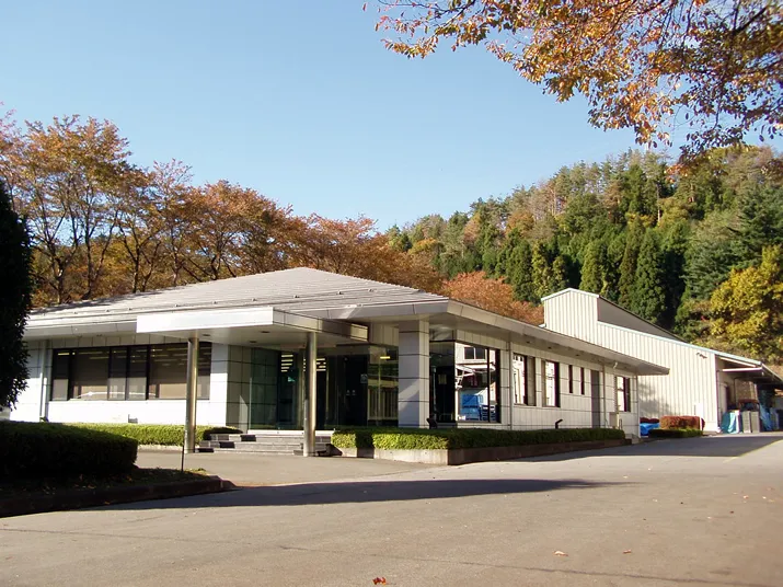 44913 diecast car collection