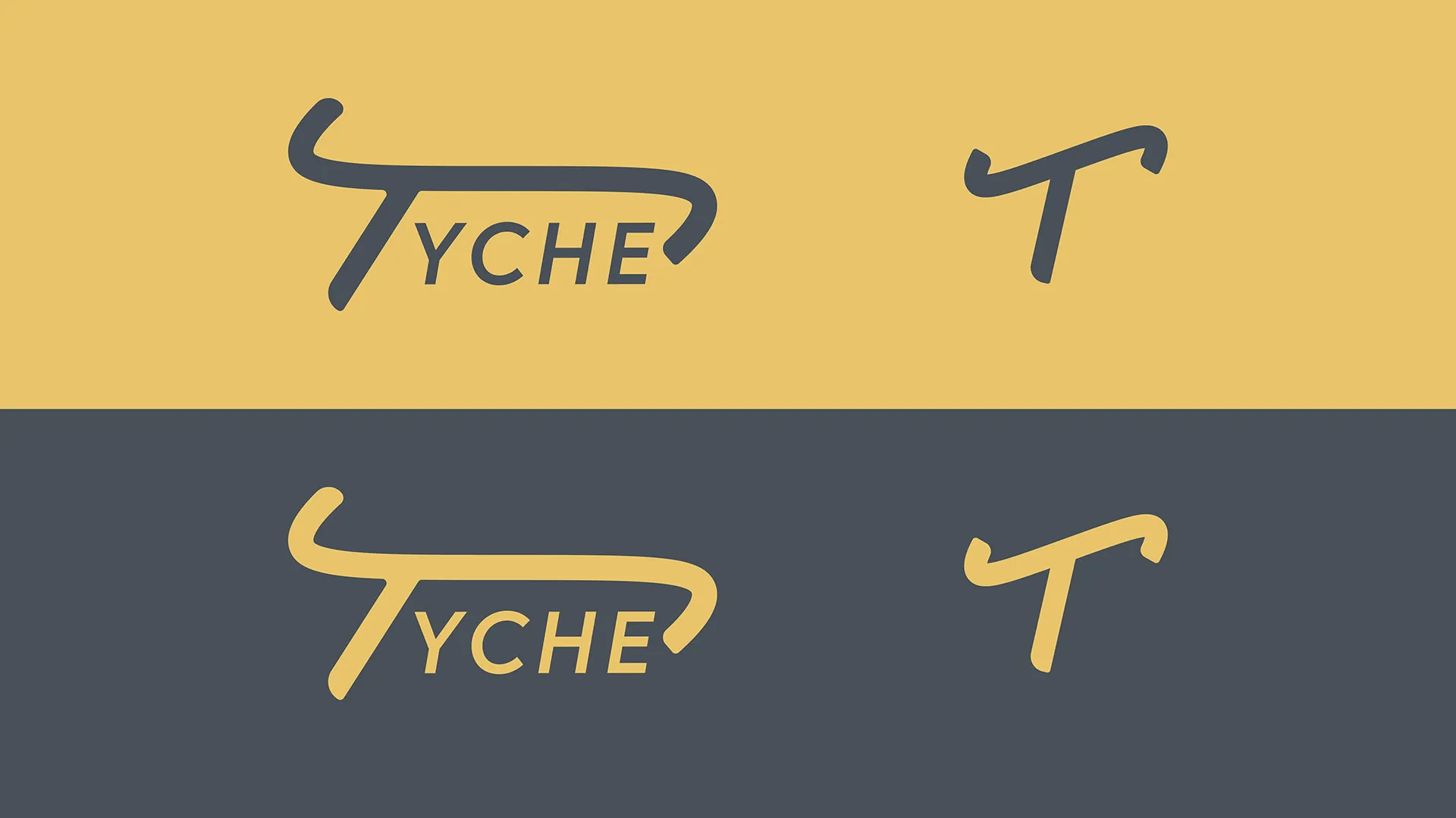 44950 tyche diecast model customer